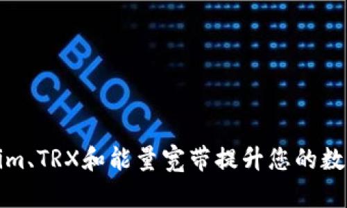 如何利用Tokenim、TRX和能量宽带提升您的数字资产投资回报