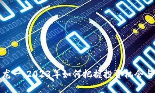 数字货币龙一：2023年如何把握投资机会与市场走势