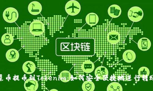 屎币提币到Tokenim：如何安全便捷地进行转账
