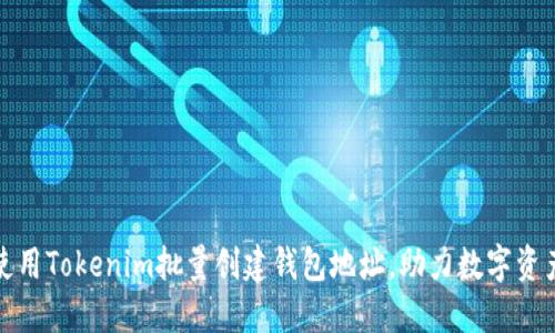 如何使用Tokenim批量创建钱包地址,助力数字资产管理