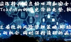   如何安全使用Tokenim：深度解析风险与规避策略