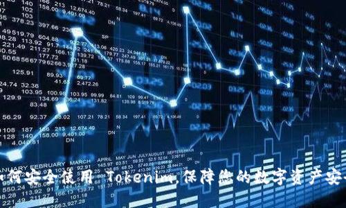 如何安全使用 Tokenim，保障您的数字资产安全