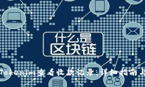 如何使用Tokenim查看收款记录：详细指南与最佳实践